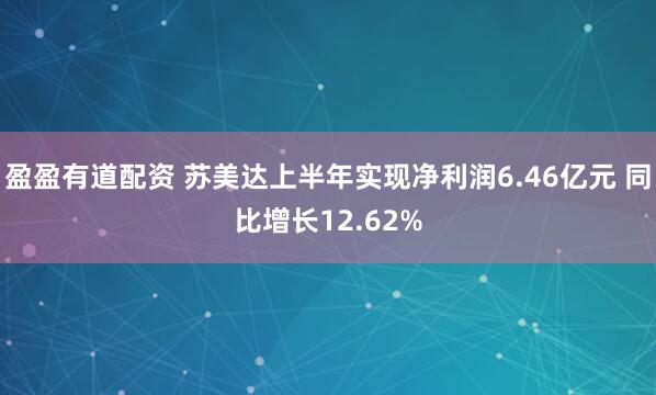 盈盈有道配资 苏美达上半年实现净利润6.46亿元 同比增长12.62%